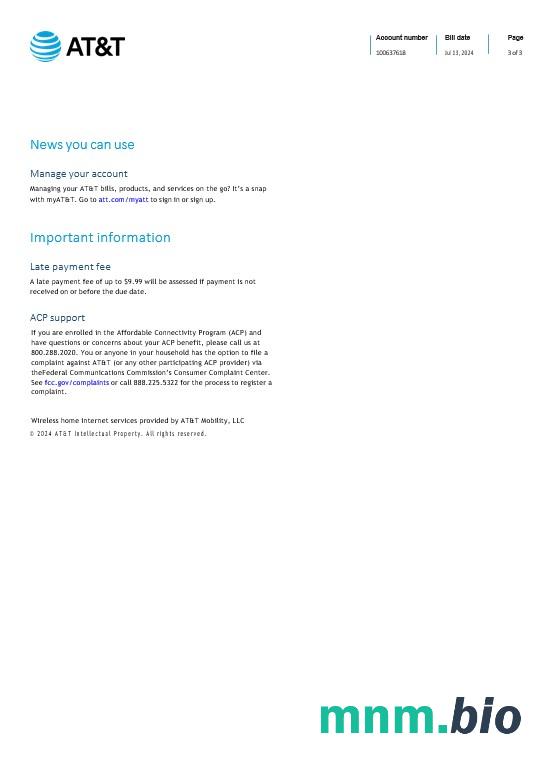 Saint Lucia Internet Business utility bill Word i szablon PDF, Strona 3